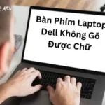 Bàn Phím Laptop Dell Không Gõ Được Chữ